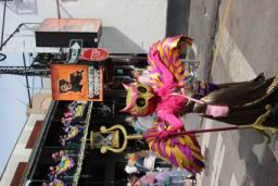 2026 02 17 Mardi Gras NOLA (1040).JPG